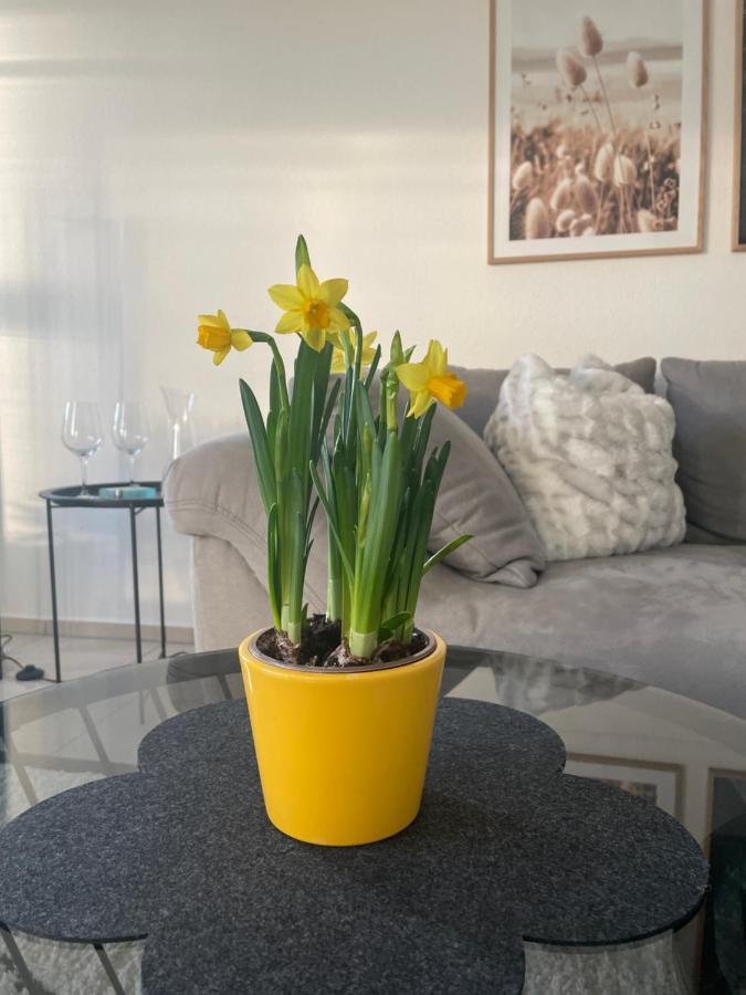 4-Sterne Ferienwohnung Krill Bad Wurzach Exteriör bild